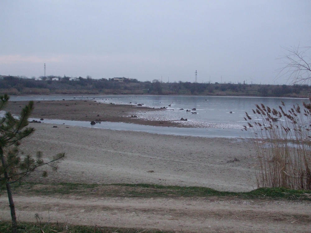 TANCABESTI SECAT - DSCF3482.jpg